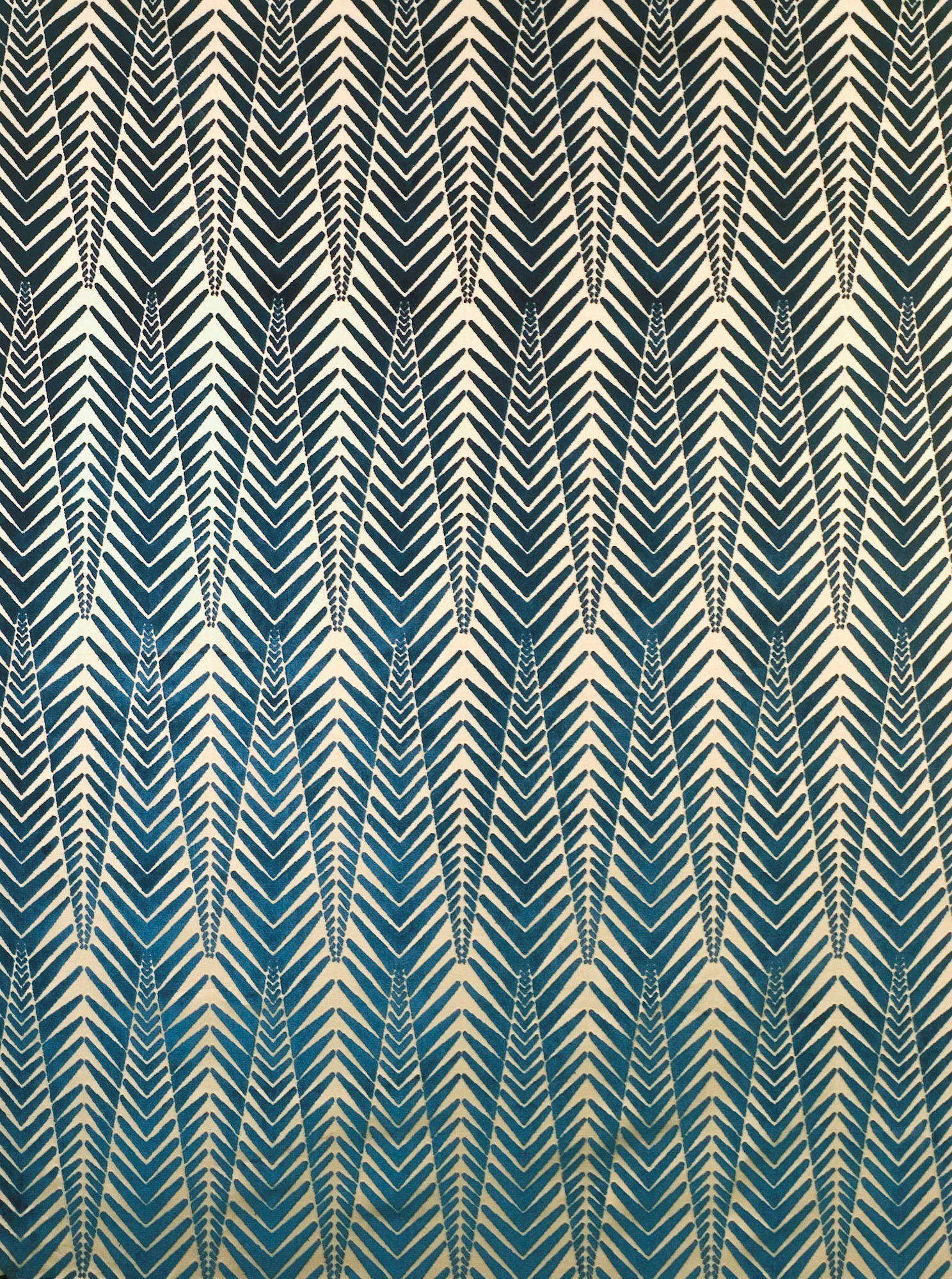 Zebra Cut Velvet Fabric,