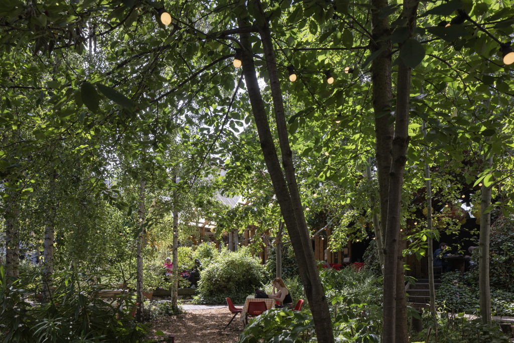 Dalston Eastern Curve Garden,