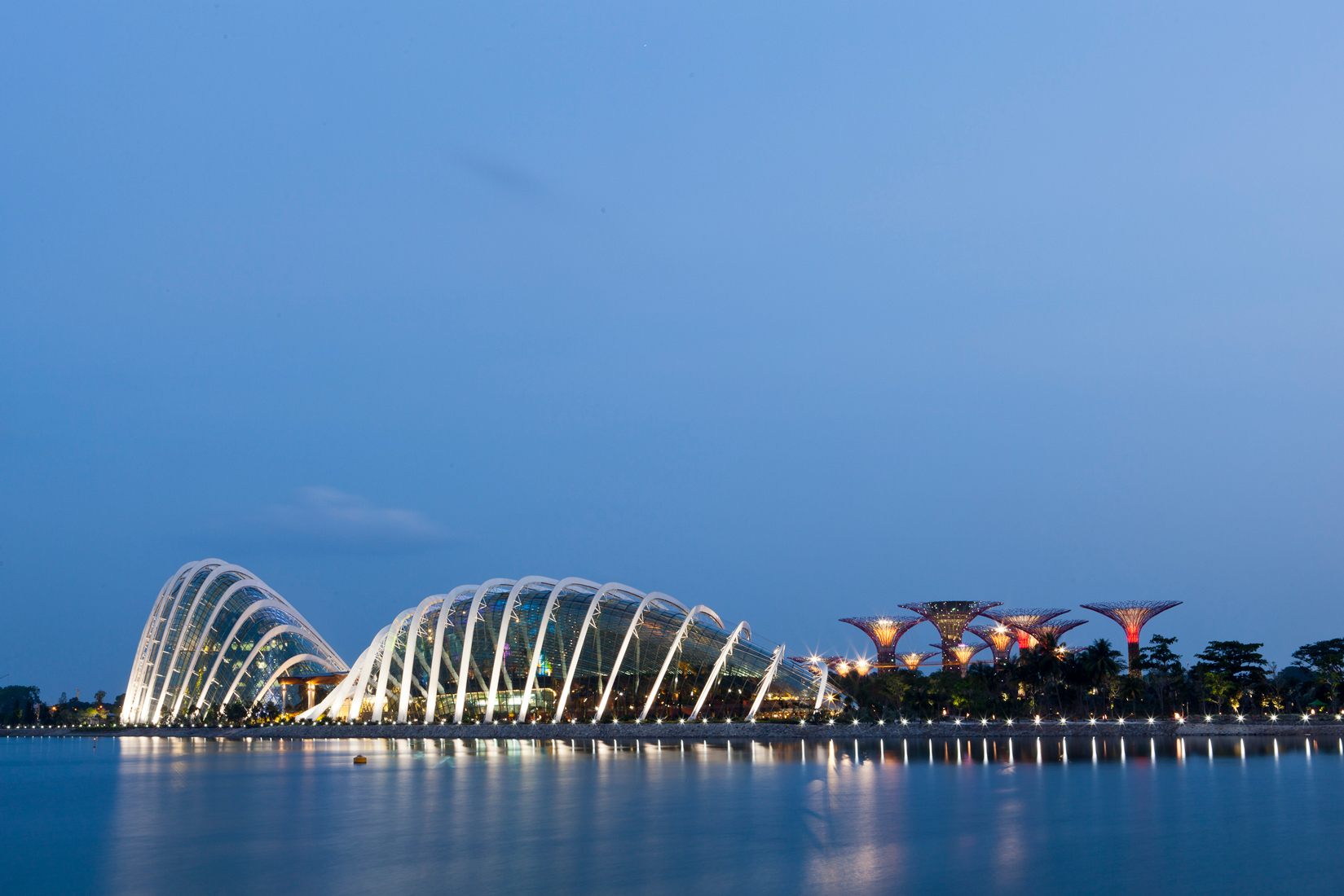 Gardens by The Bay, 2011