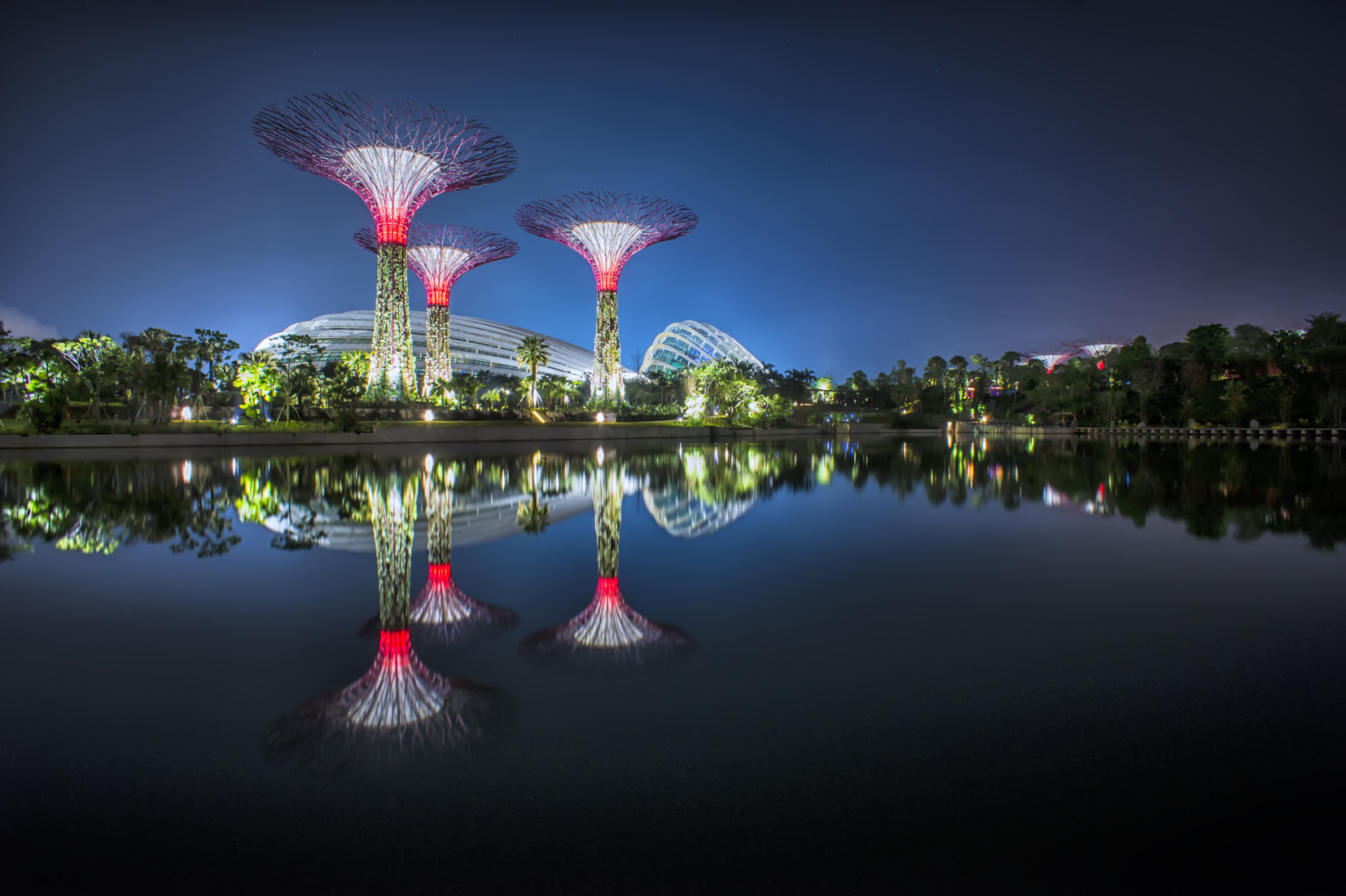 Gardens by the Bay, 2012