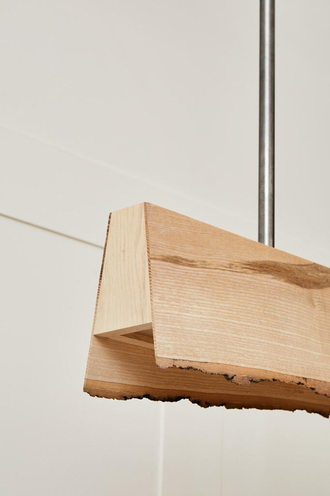 Chalara light (detail), 2022