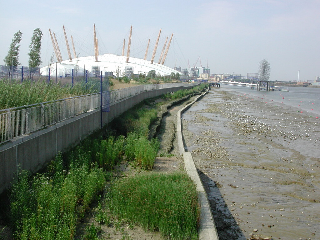 Greenwich Peninsula Eastern River Wall Intertidal Terraces,