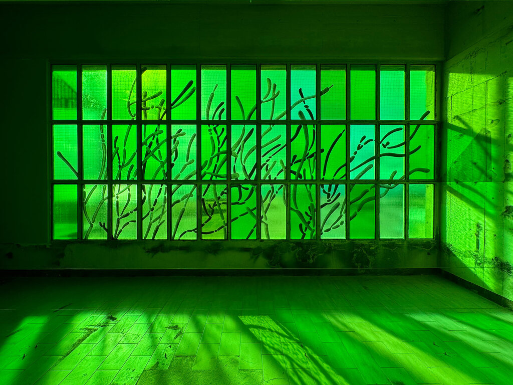 Installation view of ‘Every Thing Eats Light’ in Manifesta 15 Barcelona Metropolitana, 2024