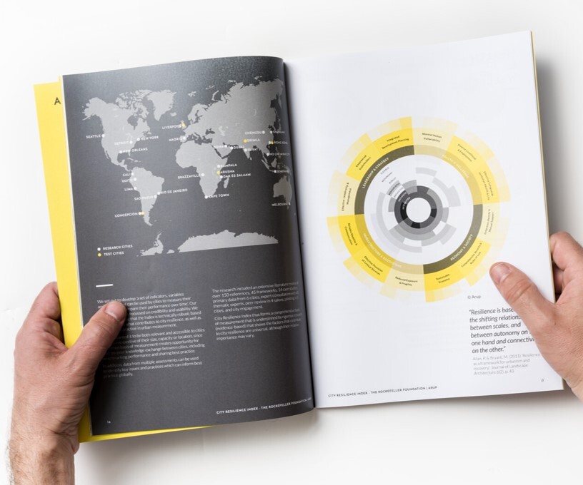 City Resilience Index, 2014