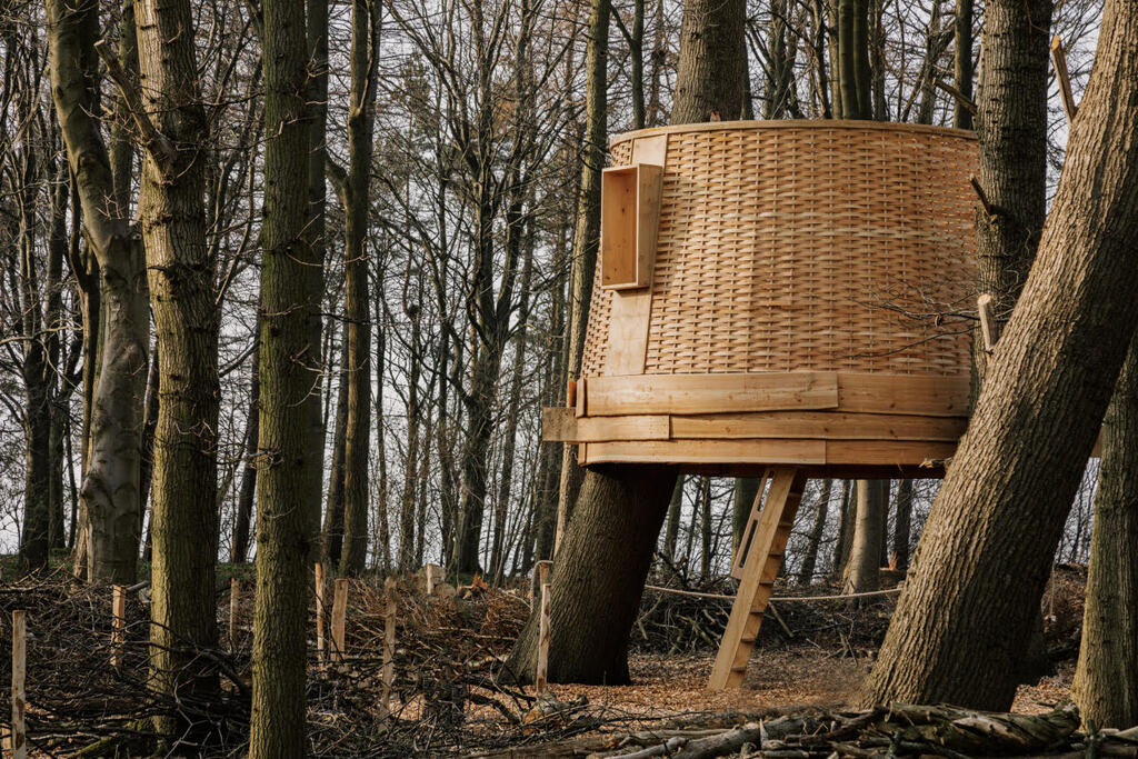 Silvascope for 'Radical Acts' at Harewood House, 2022